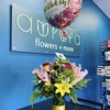 Aurora Flowers + More gallery