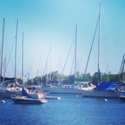 Grove Harbour Marina