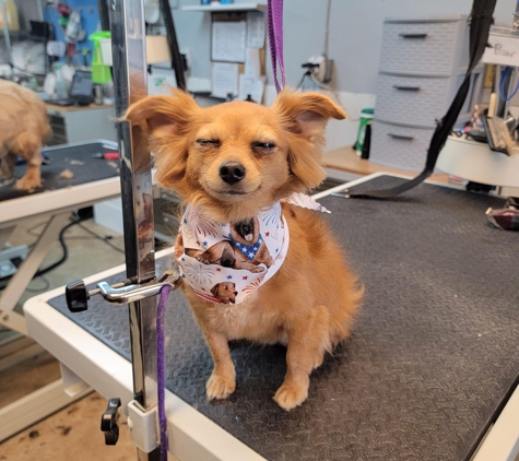 Luna's Dog Grooming Salon - Kettering, OH