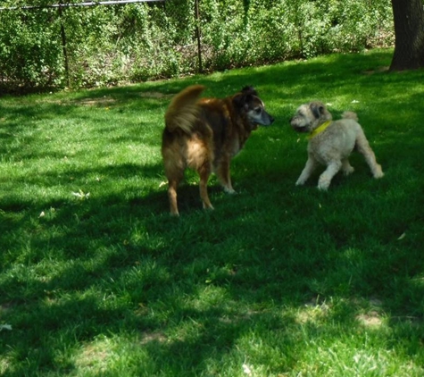 Barrington Kennels Pet Resort - Lake Barrington, IL