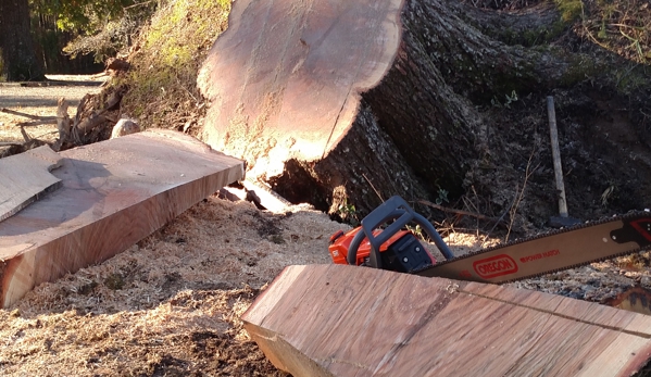 Jimmy's stump grinding service - Texarkana, TX