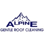 Alpine Gentle Roof Cleaning