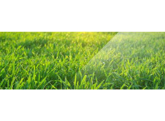 Wayne Tregea Landscaping and Garden Maintenance - Ciccone, NT