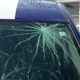 total auto glass