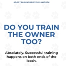 Boston to Dog Training Elite Bristol - Plymouth - Pet Training