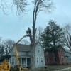 Progressive Tree Service gallery