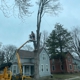 Progressive Tree Service