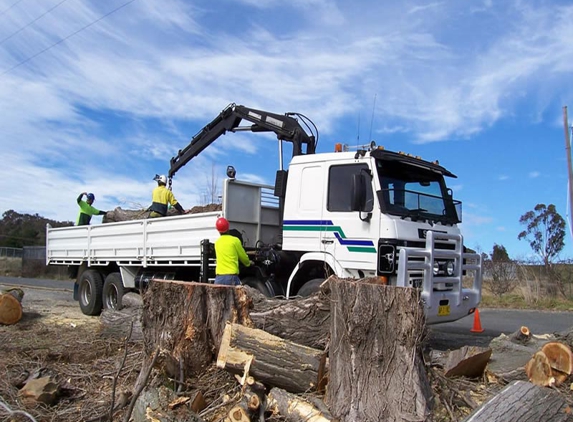Snowy Monaro Tree Service - Cooma, NSW