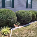Southern Cuts Lawn Care and Maintenance - Landscaping & Lawn Services