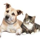 West Hazleton Veterinary Hospital - Veterinarians