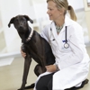 VCA Veterinary Referral and Emergency Center gallery