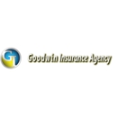 A1 Mini Storage & Goodwin Insurance Agency - Insurance