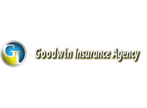 A1 Mini Storage & Goodwin Insurance Agency - Princeton, KY