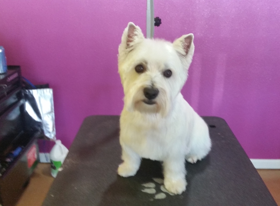 Best in Show Dog Grooming - Brookings, OR