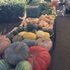 Encino Farmers Market gallery