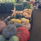 Encino Farmers Market