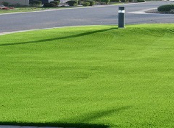 Lawn Enforcement Modesto - Modesto, CA. Faux Turf For Less