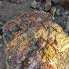 Escalante Petrified Forest State Park Campground