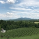 Delaplane Cellars