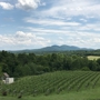 Delaplane Cellars