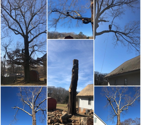 Ko Tree Services. Charlotte NC Tree Removal by KO Tree Service. We'll handle the big ones.