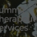 Summit Therapeutic Services - Counseling Services
