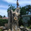 A-1 Tree Specialists - Tree Service