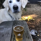 Brickyard Hollow Brewing Company