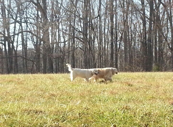 Fisher Farm - Davidson, NC