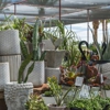 Desert Horizon Nursery gallery