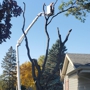 Rg Tree Service