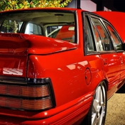 Gallery Image Number 7
