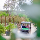Christmas Tree Lot at Moon Valley Nurseries - San Antonio - Farms