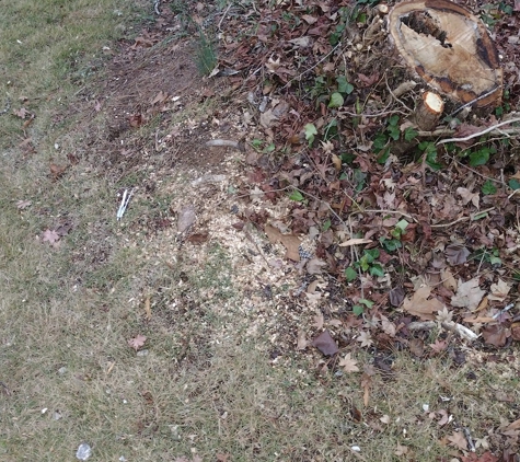 Cooleys Stump Grinding and Junk Removal Inc - Jackson, GA