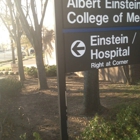 Albert Einstein College of Medicine