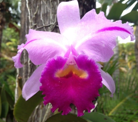 National Tropical Botanical - Koloa, HI