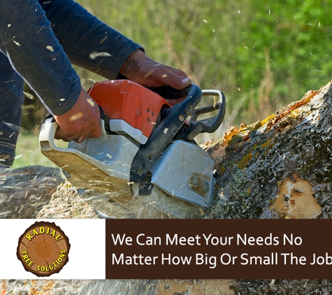 Radial Tree Solutions - Leongatha, VIC. We Can Meet Your Needs No Matter How Big Or Small The Job Is