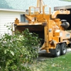 High Peaks Tree Removal gallery