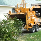 High Peaks Tree Removal