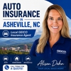 Alison Dohn - GEICO Insurance Agent gallery