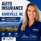 Alison Dohn - GEICO Insurance Agent