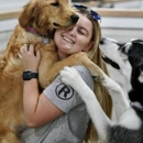 Ridgeside K9 Winchester - Dog Training