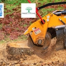 TreeCareHQ Winchester - Stump Removal & Grinding