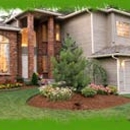 Out On A Limb Tree Care, Inc. - Tree Service