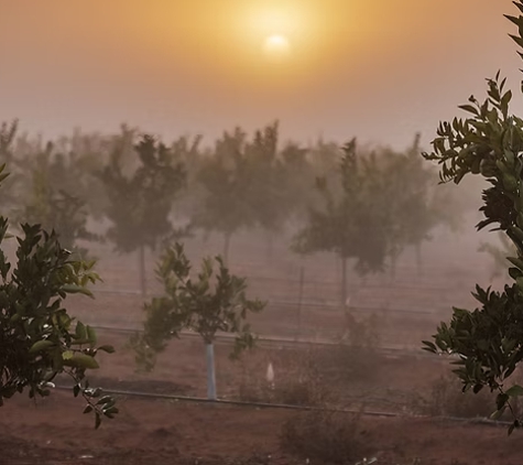 Southern Cross Farms - Mildura, VIC
