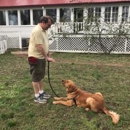 The Homeschooled Hound - Pet Training