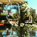 Pine Ridge vineyards - Tourist Information & Attractions