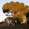 Fremont Hills Country Club - Los Altos Hills gallery