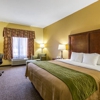 Comfort Inn Brownsville I-40 gallery