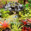 Jasonswatergardens.com gallery